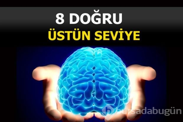 Beyin yakan mantık soruları