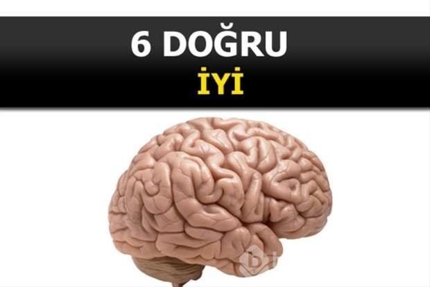 Beyin yakan mantık soruları