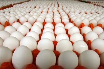 Yumurtanın büyük şifası