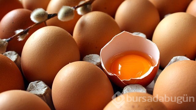 Yumurtanın büyük şifası
