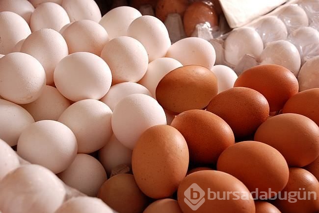 Yumurtanın büyük şifası