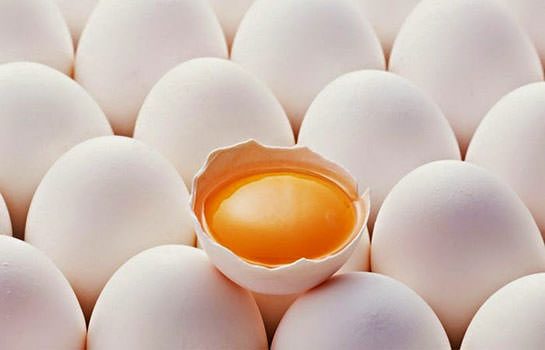 Yumurtanın büyük şifası