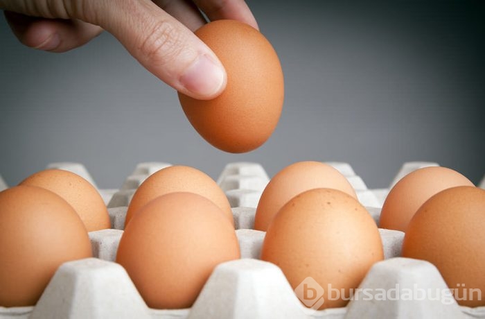 Yumurtanın büyük şifası