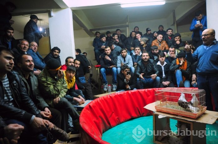 "Kuş muhabbeti" mesafe tanımıyor!