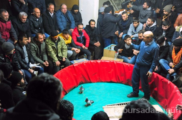 "Kuş muhabbeti" mesafe tanımıyor!