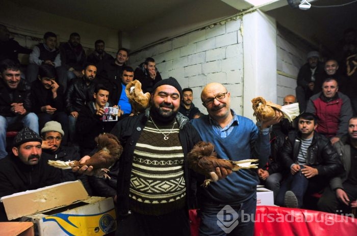 "Kuş muhabbeti" mesafe tanımıyor!
