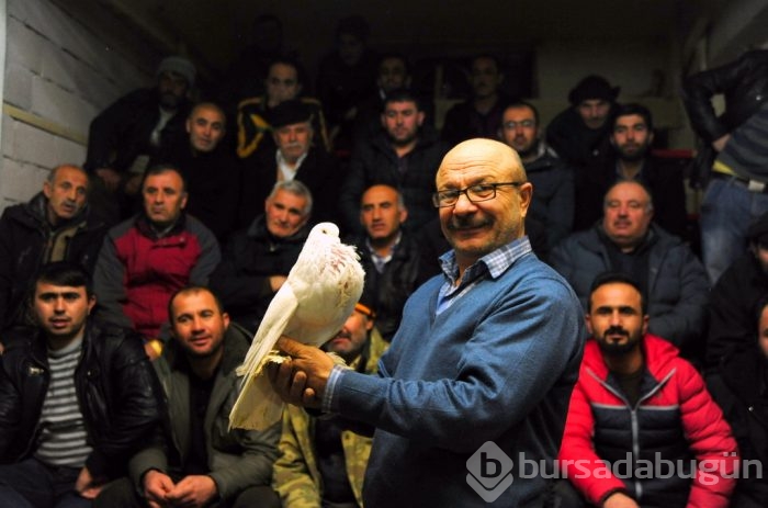 "Kuş muhabbeti" mesafe tanımıyor!
