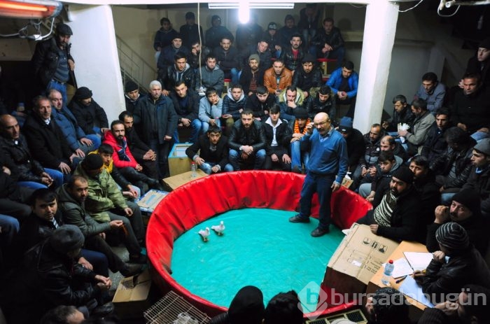 "Kuş muhabbeti" mesafe tanımıyor!