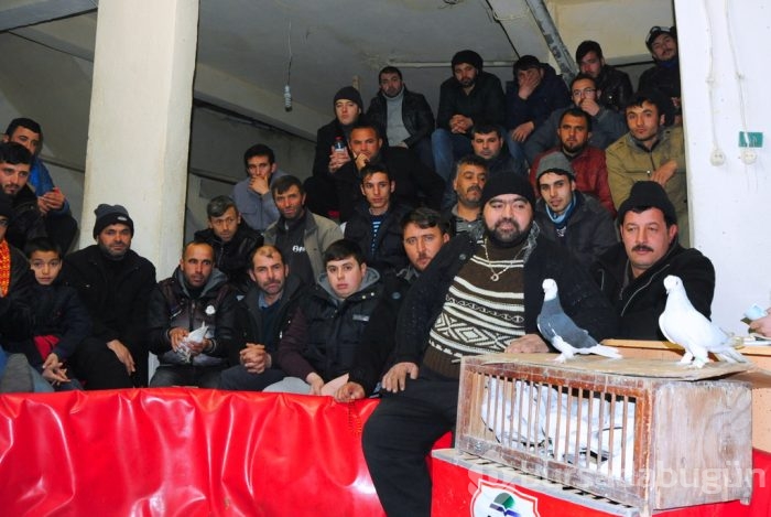 "Kuş muhabbeti" mesafe tanımıyor!