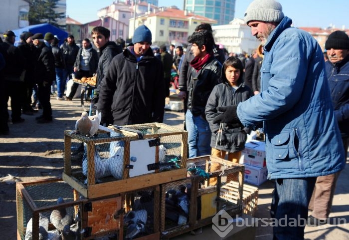 "Kuş muhabbeti" mesafe tanımıyor!