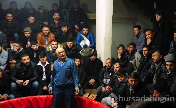 "Kuş muhabbeti" mesafe tanımıyor!