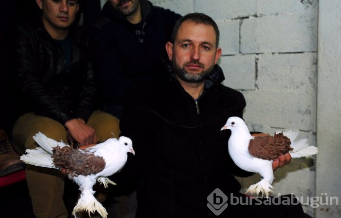 "Kuş muhabbeti" mesafe tanımıyor!