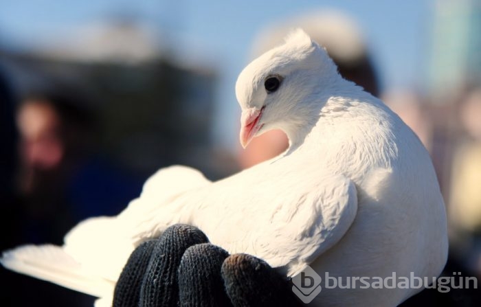 "Kuş muhabbeti" mesafe tanımıyor!