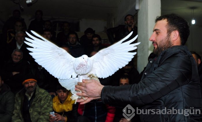 "Kuş muhabbeti" mesafe tanımıyor!