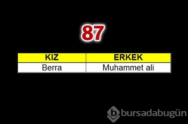 2015'te çocuklara en çok verilen isimler