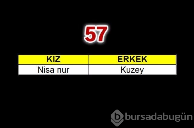 2015'te çocuklara en çok verilen isimler