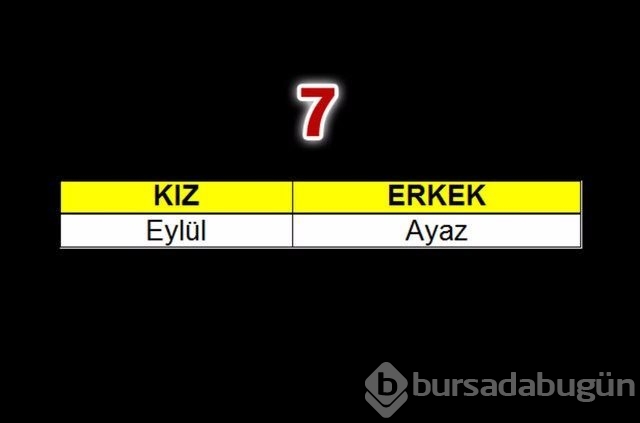 2015'te çocuklara en çok verilen isimler