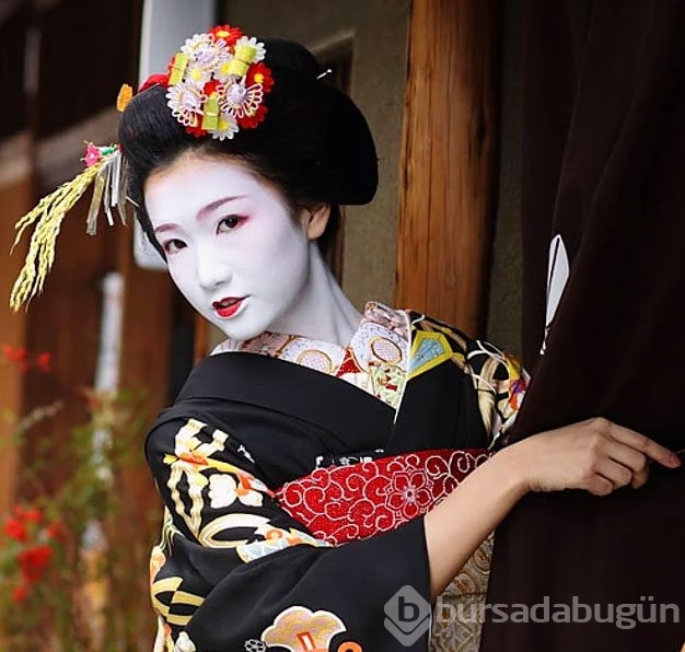Japonya hakkında ilginç bilgiler

