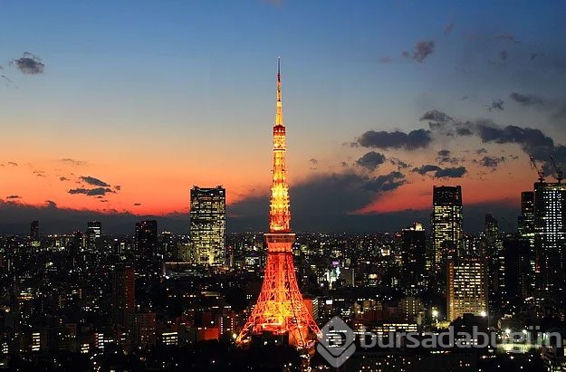 Japonya hakkında ilginç bilgiler
