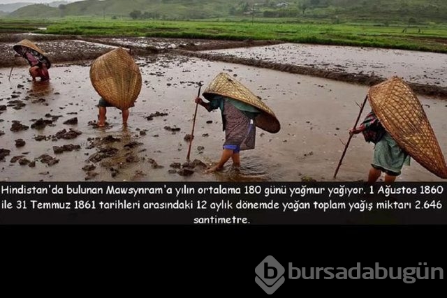 Dünya hakkında 20 çarpıcı gerçek

