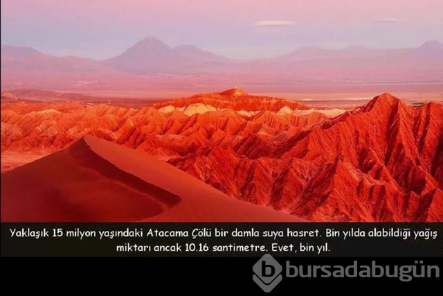 Dünya hakkında 20 çarpıcı gerçek
