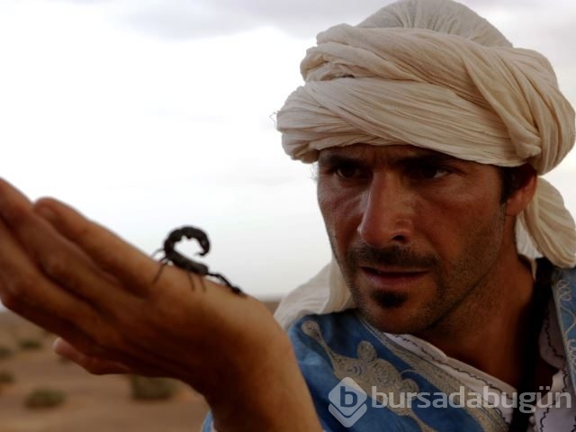 National Geographic'te Ocak ayı en'leri