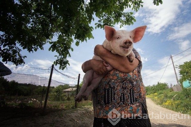 &#8203;Dünyanın farklı kentlerinde çekilmiş 19 sokak fotoğrafı
