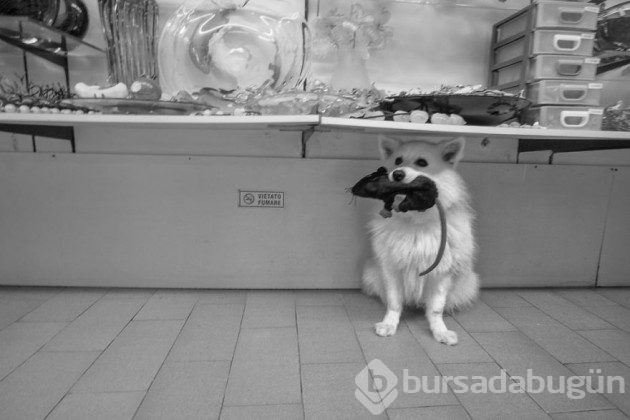 &#8203;Dünyanın farklı kentlerinde çekilmiş 19 sokak fotoğrafı
