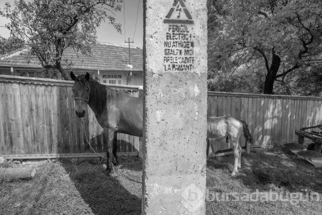 &#8203;Dünyanın farklı kentlerinde çekilmiş 19 sokak fotoğrafı
