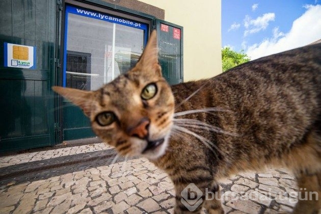 &#8203;Dünyanın farklı kentlerinde çekilmiş 19 sokak fotoğrafı
