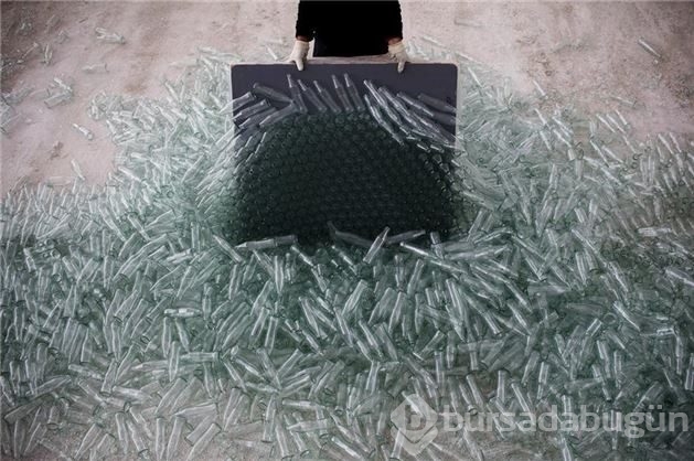 Burası bir orman değil!