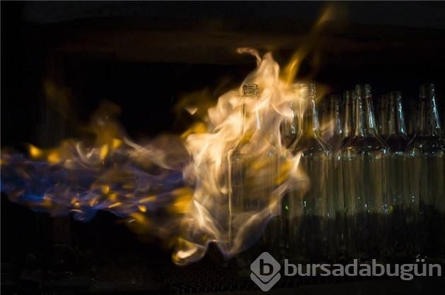 Burası bir orman değil!
