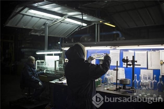Burası bir orman değil!