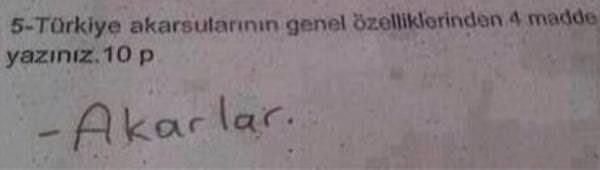 Bu sınav cevapları çok güldürüyor