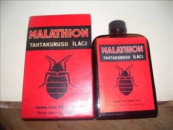 Türklere mahsus ölümler!
