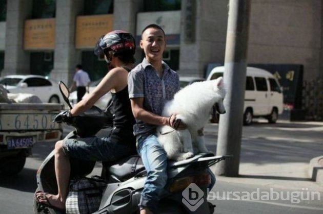 Bu fotoğraflar yürekleri ağızlara getiriyor
