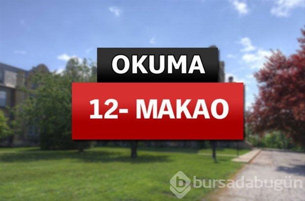 Matematik ve bilimde dünyanın en iyileri
