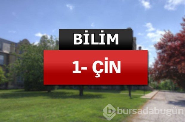 Matematik ve bilimde dünyanın en iyileri
