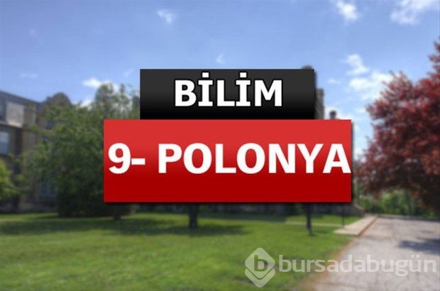 Matematik ve bilimde dünyanın en iyileri

