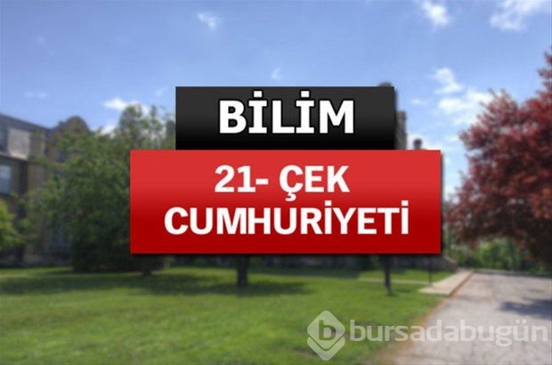 Matematik ve bilimde dünyanın en iyileri
