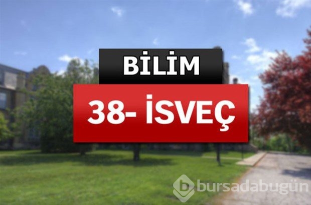 Matematik ve bilimde dünyanın en iyileri
