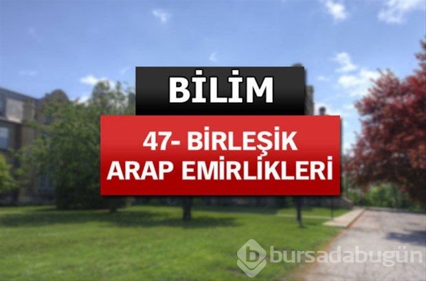 Matematik ve bilimde dünyanın en iyileri
