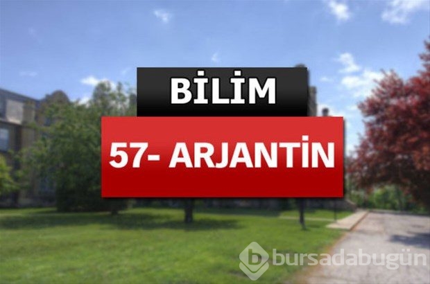 Matematik ve bilimde dünyanın en iyileri
