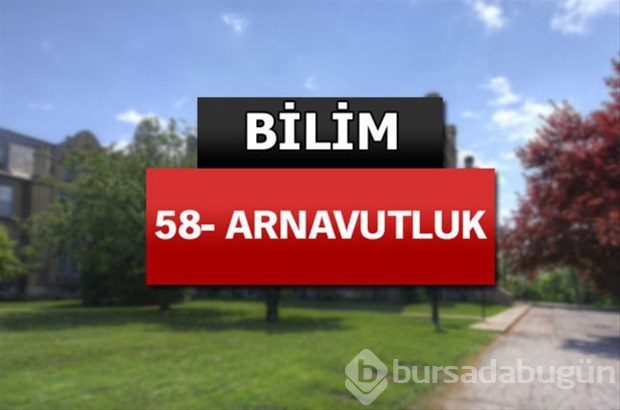 Matematik ve bilimde dünyanın en iyileri
