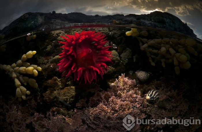 İki dünya arasında çekilmiş nefes kesen 54 fotoğraf