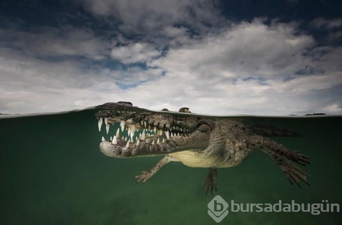 İki dünya arasında çekilmiş nefes kesen 54 fotoğraf