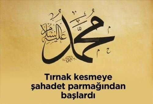 Hz. Muhammed'in sünnetleri

