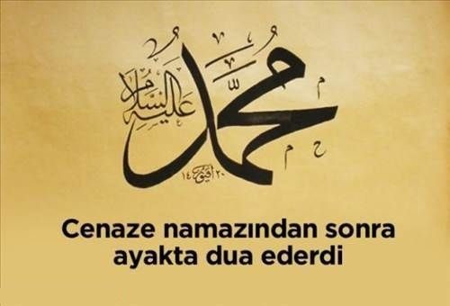 Hz. Muhammed'in sünnetleri

