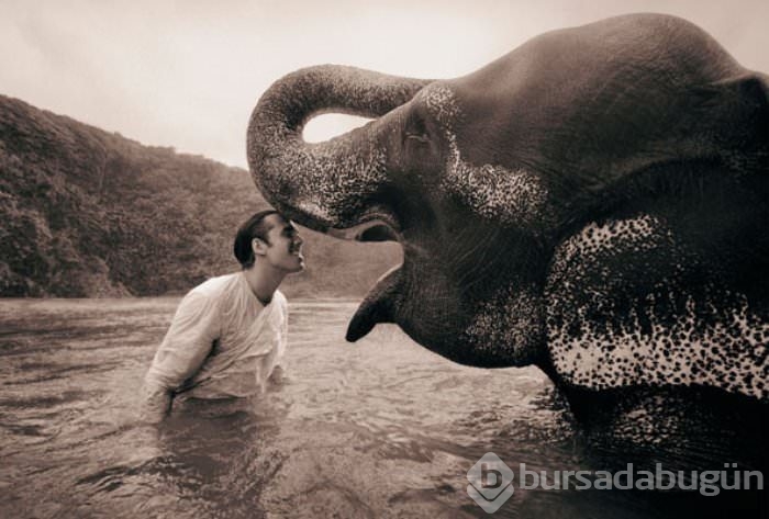 Derinden etkileyen fotoğraflar	