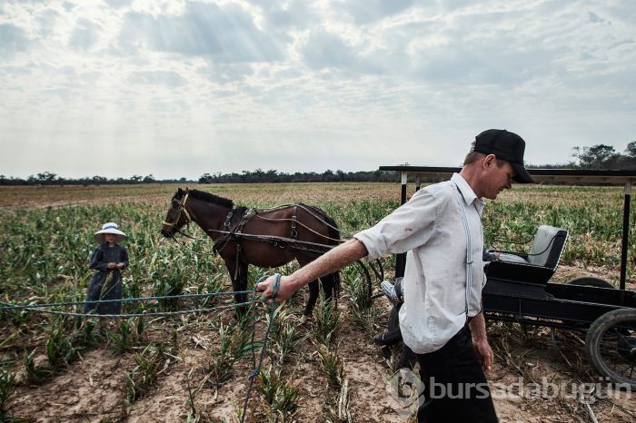 Mennonitler'in gizli yaşamı